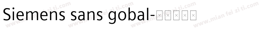 Siemens sans gobal字体转换
